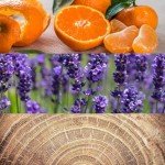 Calvin Klein Obsession Aftershave Balm 150ml