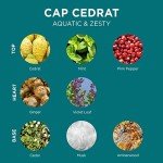 L'OCCITANE Cap Cédrat Aftershave Gel 75ml