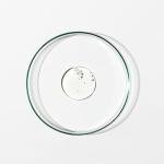 Grown Alchemist Sandalwood Sage Shaving Gel 75 ml