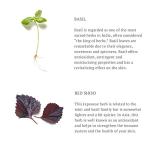 RITUALS Samurai After Shave Soothing Repair Balm 100ml