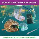 Facial Razors for Exfoliation and Peach Fuzz Removal