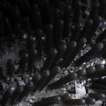 Flexii Silicone Body Scrubber for Sensitive Skin