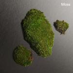 Calvin Klein Eternity Men's Aftershave Balm 150ml