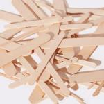 Mylee Waxing Set with Warmer and Accessories