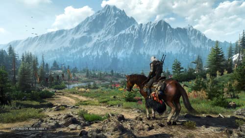 The Witcher III: Wild Hunt - Game of The Year