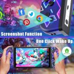 TURPOW Wireless Switch Gamepad with Motion Control