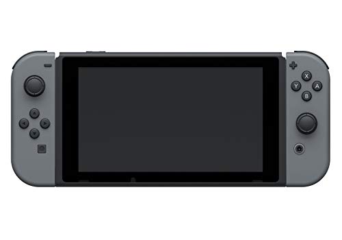 Nintendo Switch Console - Gray Edition