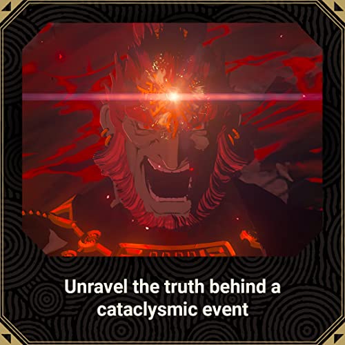 Nintendo Switch: Tears of the Kingdom Game