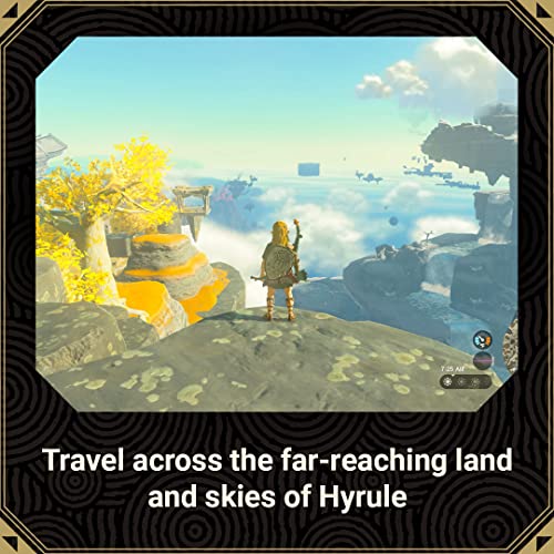 Nintendo Switch: Tears of the Kingdom Game