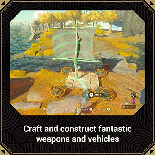 Nintendo Switch: Tears of the Kingdom Game