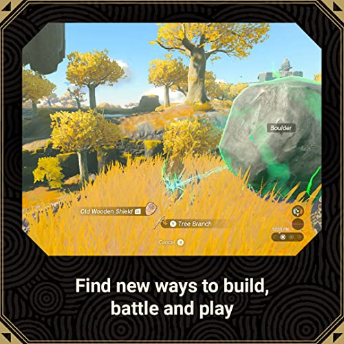 Nintendo Switch: Tears of the Kingdom Game