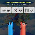 Luufii Switch Controller with Motion Control & Straps