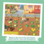 Nintendo Animal Crossing: New Horizons for Switch