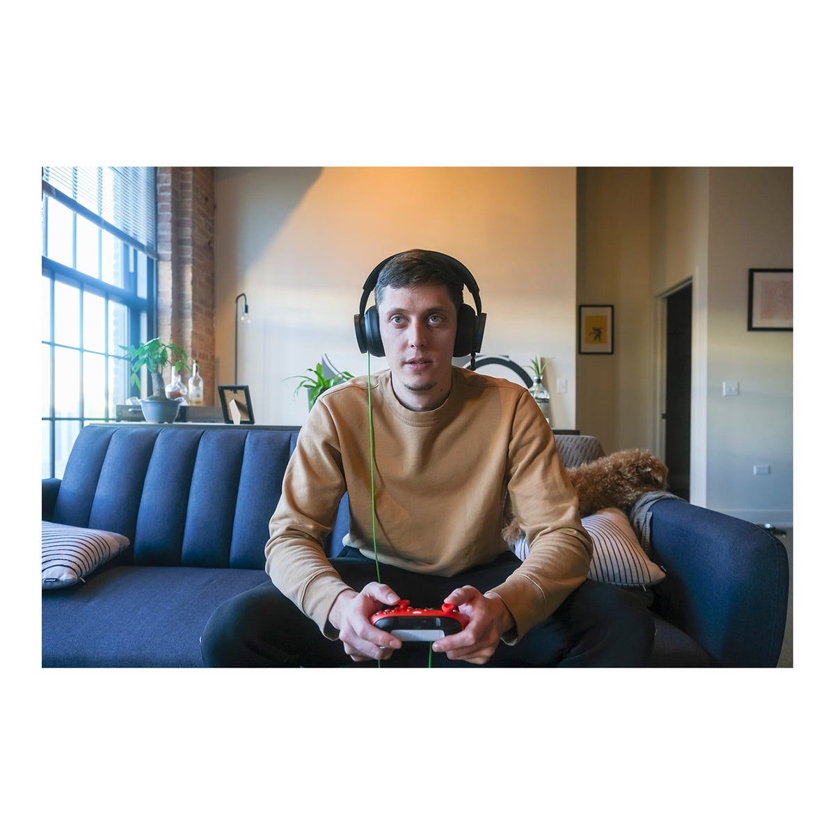 Xbox Wired Stereo Headset for Series X|S and One