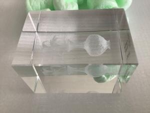 Turtle Beach Recon 70 Green Gaming Headset