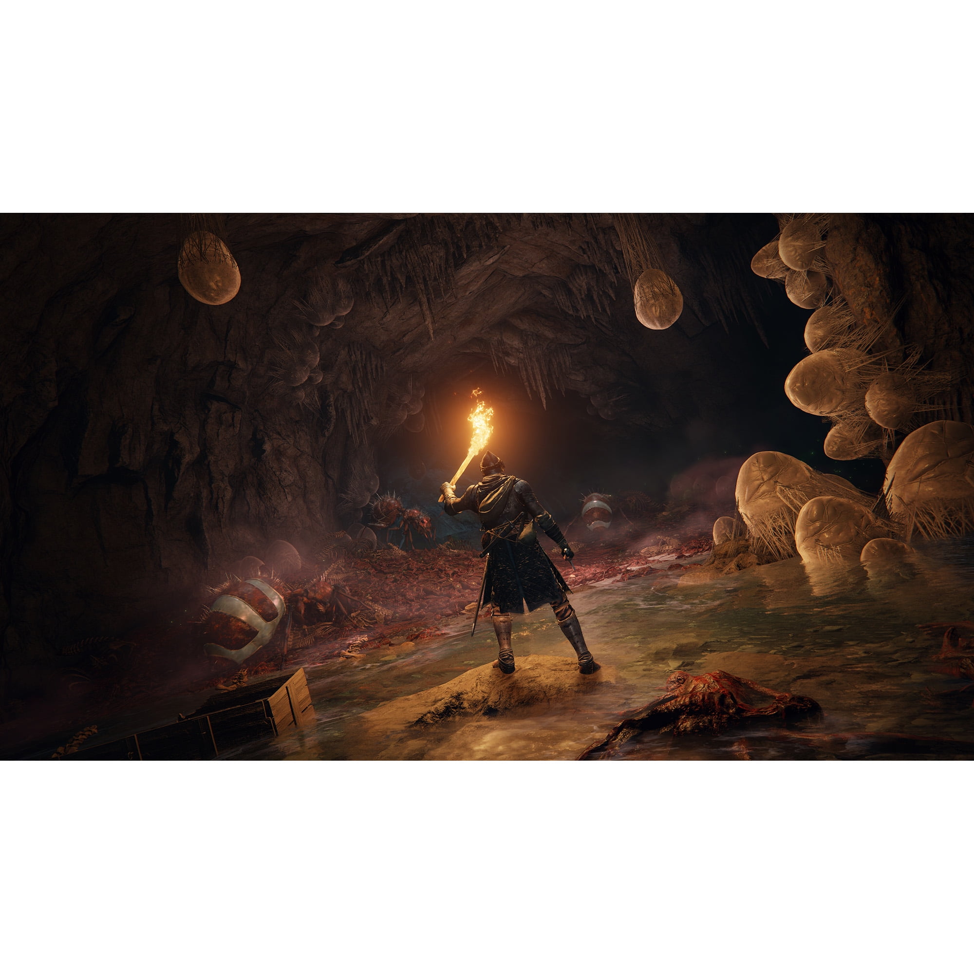 Elden Ring for PlayStation 5