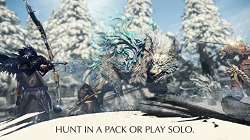 Wild Hearts by Electronic Arts for PS5