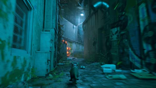 Annapurna Interactive Stray for PlayStation 5