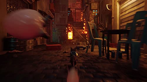 Annapurna Interactive Stray for PlayStation 5