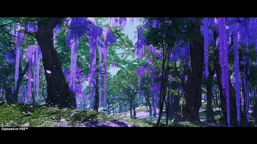 Ghost of Tsushima Director's Cut for PS5