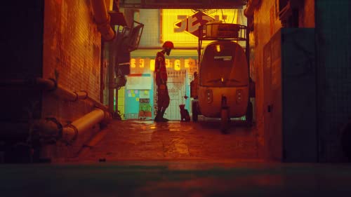 Stray for PlayStation 5 by Annapurna Interactive
