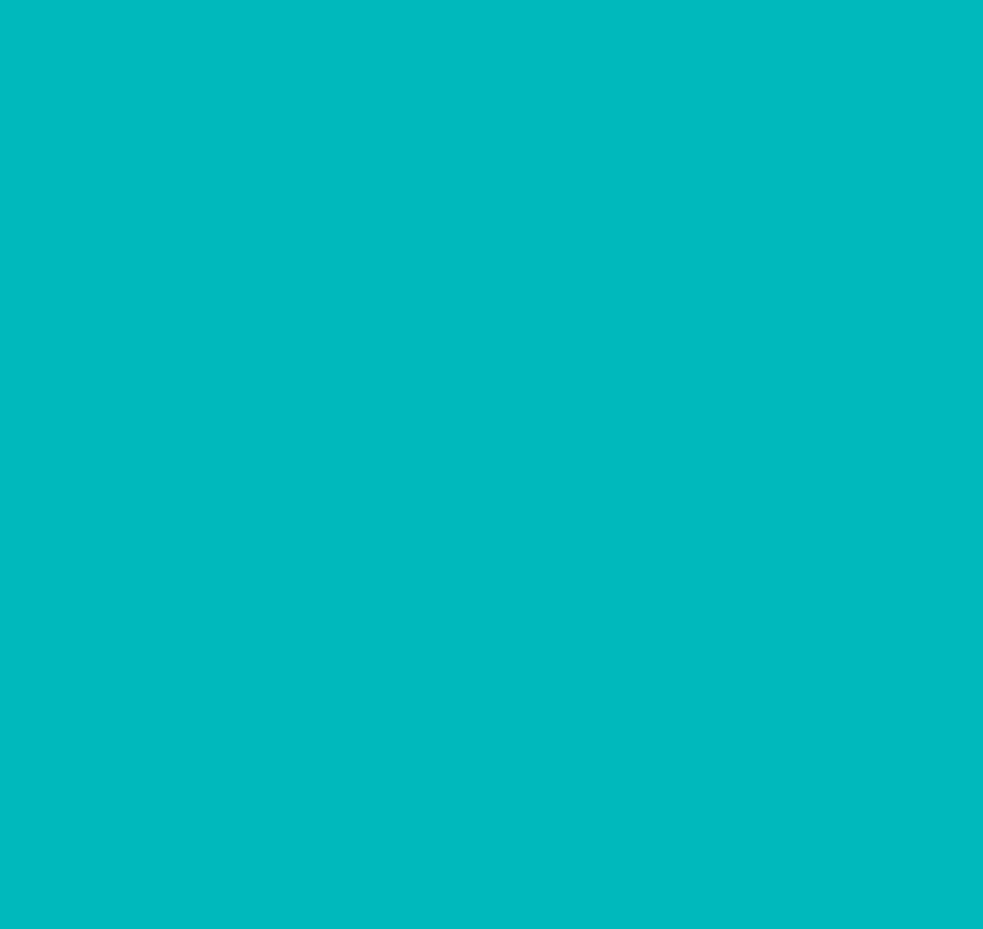 Turquoise Nintendo Switch Lite Console