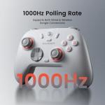 GameSir Nova 2 Lite Wireless Controller for PC/Switch