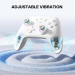 ECHTPower Wireless Gaming Controller for PC & Switch