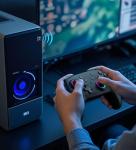 Wireless USB Gaming Controller for PC and Switch