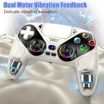 RGB Wireless Controller for PS5/PC with Back Buttons