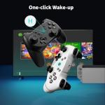 AceGamer Wireless Pro Controller for Switch Series