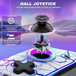 HELLCOOL Pro Switch Controller with Turbo & RGB