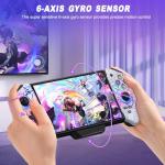 HELLCOOL Pro Switch Controller with Turbo & RGB