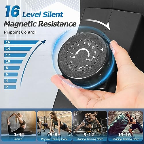 Dripex Magnetic Rower with LCD Monitor, Aluminum Rail