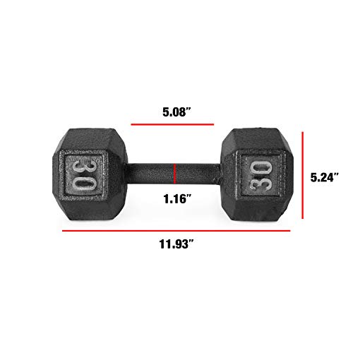 30 lb Black Cast Iron Hex Dumbbell by CAP