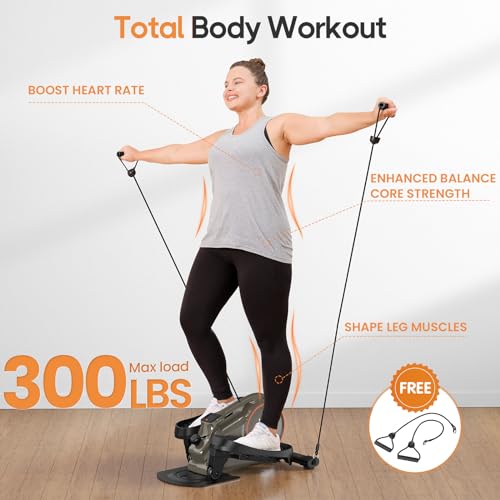 Niceday 2-in-1 Elliptical: Seated/Stand, Quiet, Adjustable Resistance