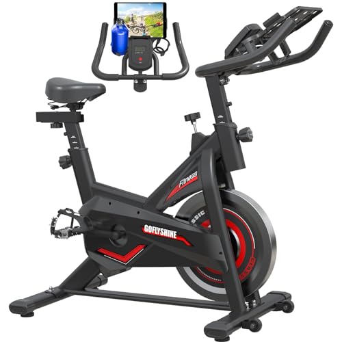 GOFLYSHINE Exercise Bike: Silent, Indoor, with iPad Mount