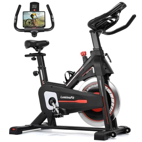Indoor Cycling Bike with Tablet Holder and LCD Monitor