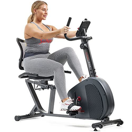 Grey Endurance Magnetic Recumbent Cycling Exercise Bike by Sunny Health & Fitness