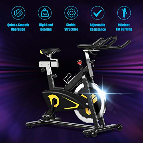 Goplus Magnetic Exercise Bike with LCD Monitor, 30lbs Flywheel
