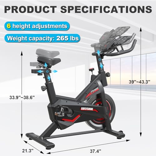 GOFLYSHINE Exercise Bike: Silent, Indoor, with iPad Mount