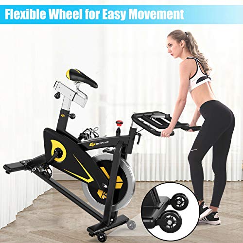 Goplus Magnetic Exercise Bike with LCD Monitor, 30lbs Flywheel