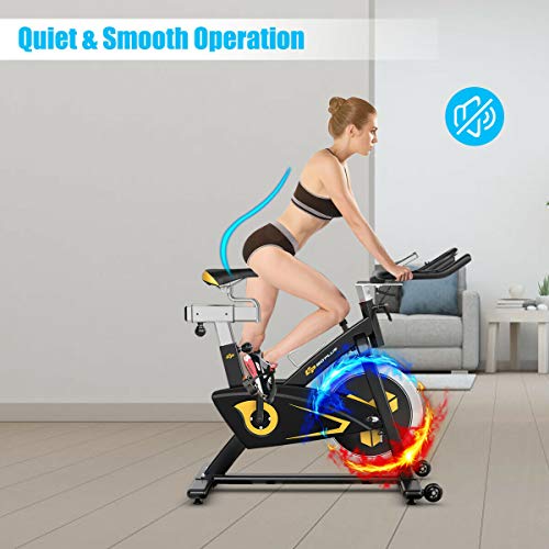 Goplus Magnetic Exercise Bike with LCD Monitor, 30lbs Flywheel