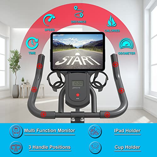 GOFLYSHINE Exercise Bike: Silent, Indoor, with iPad Mount