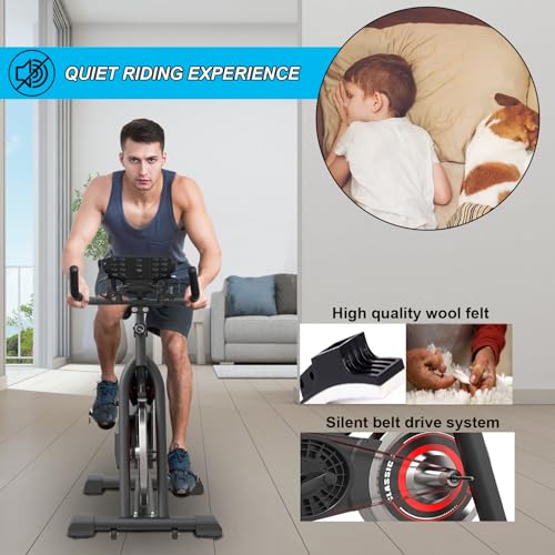 GOFLYSHINE Exercise Bike: Silent, Indoor, with iPad Mount
