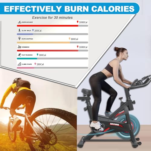 GOFLYSHINE Exercise Bike: Silent, Indoor, with iPad Mount