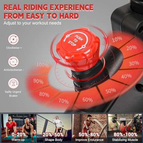 Indoor Cycling Bike with Tablet Holder and LCD Monitor