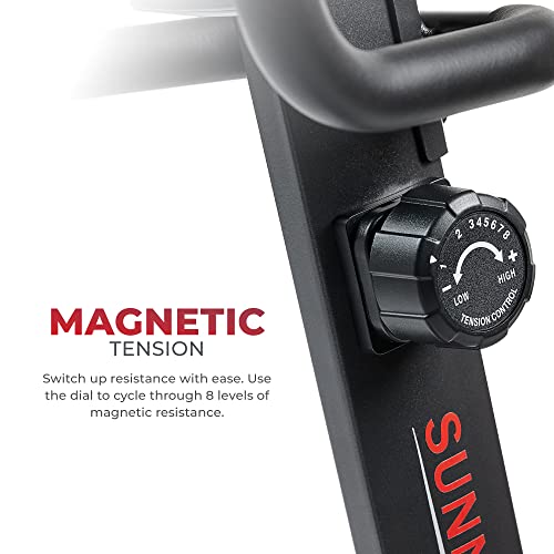 Grey Endurance Magnetic Recumbent Cycling Exercise Bike by Sunny Health & Fitness