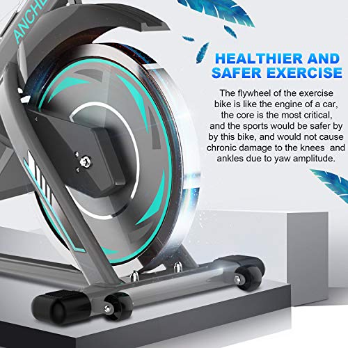 ANCHEER Indoor Exercise Bike Stationary with Tablet Holder
