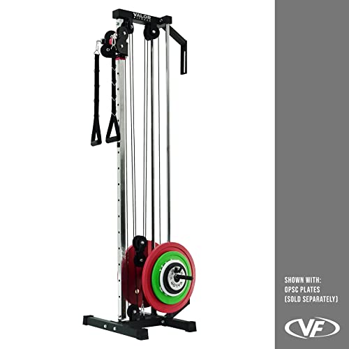 Valor Fitness BD-62 Wall Mount Cable Station: Adjustable Dual Pulley